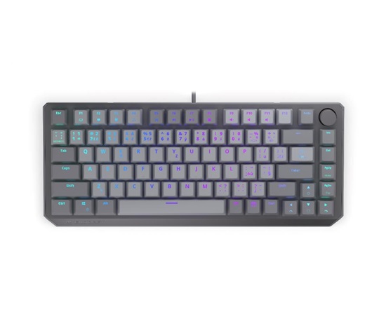 ENDORFY Herní klávesnice Thock V2 75%, Mechanická, USB, CZ/SK, ARGB