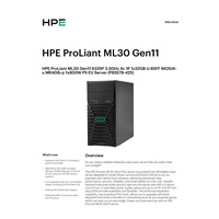 HPE PL ML30g11 6325P (3.5G/4C8T) 1x32G 8SFF NS204i-u(2x480g) MR408i-p/4G 2x800W 3/1/1 Smart Choice