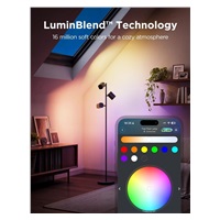 Govee Tree Lamp RGBICWW stojací lampa Matter