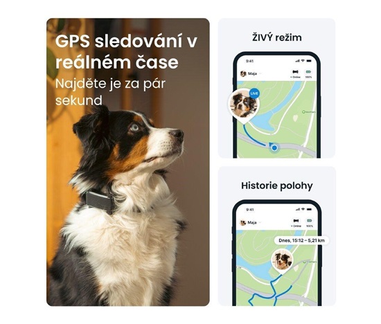 Tractive DOG 6 – GPS lokátor pro psy a monitor zdraví, černý