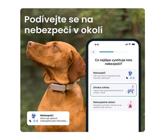 Tractive DOG 6 – GPS lokátor pro psy a monitor zdraví, hnědý