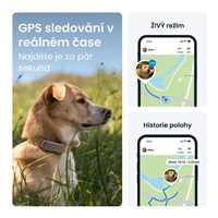 Tractive DOG 6 – GPS lokátor pro psy a monitor zdraví, hnědý
