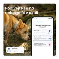 Tractive DOG 6 – GPS lokátor pro psy a monitor zdraví, mátový