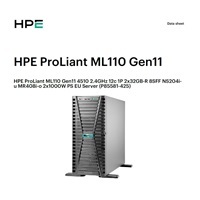 HPE PL ML110g11 4510 (2.4G/12C) NS204(2x480) 2x32G (P64706) MR408i-o 2x1000W 8SFF 2x1G NBD333 Smart Choice