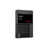 SanDisk Carrera Syndicate SSD 7.68TB DC, SN861, PCIe Gen5, (R:13700, W:8800MB/s), BICS6 TLC NVMe U.2, ISE,Generic