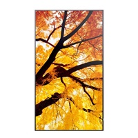 SHARP M502, LCD 50" Message Large Format Display, 24/7, 3840 x 2160, 500 [cd/m2]