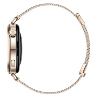 Huawei Watch GT 6 41mm Gold Milanese CZ
