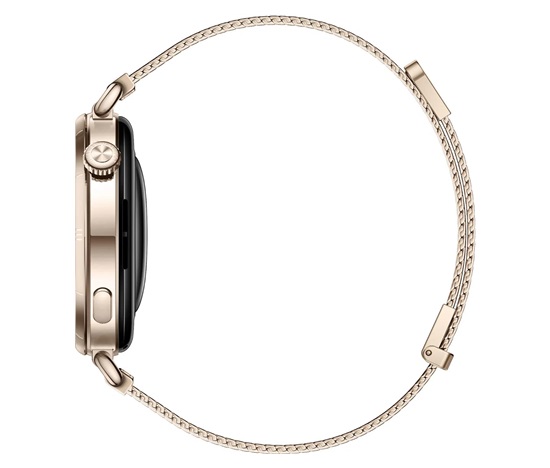 Huawei Watch GT 6 41mm Gold Milanese CZ