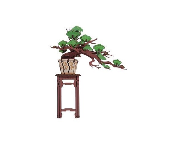 RoboTime 3D dřevěná skládačka Bonsaj borovice