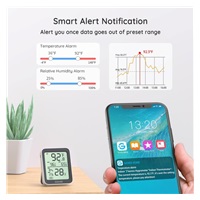 Govee Teploměr a vlhkoměr s displejem, Bluetooth