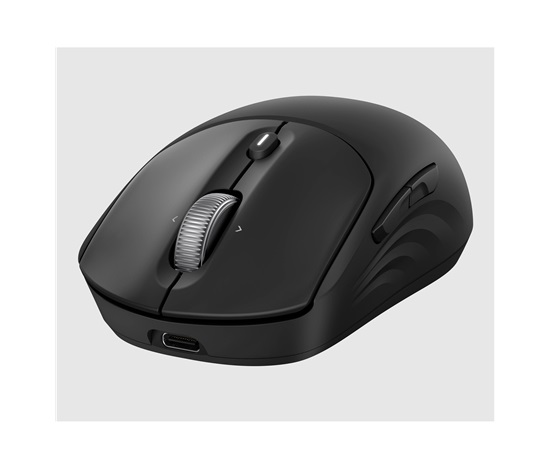 HP myš - HP 705 Rechargeable Wireless Mouse