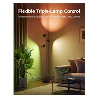 BAZAR - Govee Tree Lamp RGBICWW stojací lampa Matter - Poškozený obal (Komplet)