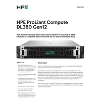 HPE PL DL380g12 6505P (2.2/12C) 2x32G (P69727) 12LFF 2x8TB MR416i-o 2x1000W 10GbE NBD333 Smart Choice
