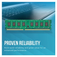 PNY DIMM DDR3 8GB 1600MHz CL11