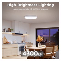 BAZAR - Govee RGBICWW Smart kulaté stropní světlo 4300lm 38cm Matter - Poškozený obal (Komplet)