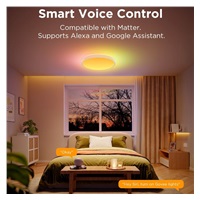 BAZAR - Govee RGBICWW Smart kulaté stropní světlo 4300lm 38cm Matter - Poškozený obal (Komplet)