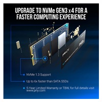 PNY SSD CS1030 250GB, PCIe Gen3x4, M.2 2280, (R:2500/ W:1100MB/s)