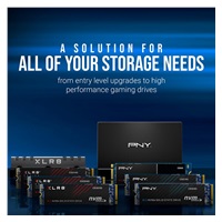 PNY SSD CS1030 1TB, PCIe Gen3x4, M.2 2280, (R:2100/ W:1700MB/s)