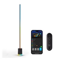 BAZAR - Govee RGBICWW Floor Lamp 2 RGBICWW Matter + ovladač - Poškozený obal (Komplet)