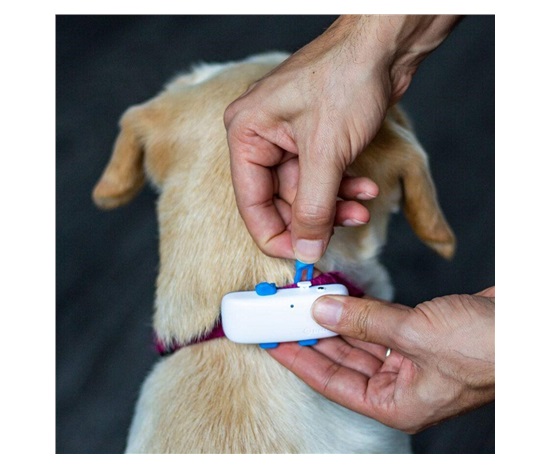 Tractive GPS DOG 4 - Gumové spony XL