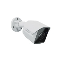 Synology FC600 IP kamera panoramatická, 6Mpx, 1/2.5", objektiv 1,53 mm, IR<10, IP67, microSD