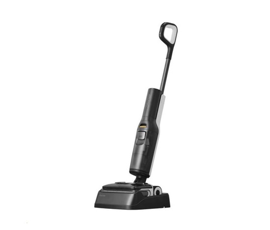Roborock F25 ACE Black