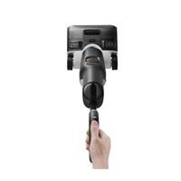Roborock F25 ACE Black
