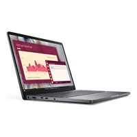 DELL NTB Pro 14 PC14250/7-150U/16GB/256 SSD/14" FHD+ /IR Cam & Mic/NO AC Adapter/WLAN/Backlit Kb/W11P/3Y PS NBD