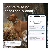 Tractive DOG 6 XL – Smart GPS Tracker for Dogs with Vitals Monitoring & Health Alerts, Brown