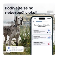 <h1>Tractive DOG 6 XL – Chytrý GPS lokátor pro psy se sledováním životních funkcí a zdravotními upozorněními, černý</h1>