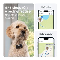 <h1>Tractive DOG 6 XL – Chytrý GPS lokátor pro psy se sledováním životních funkcí a zdravotními upozorněními, černý</h1>