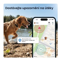<h1>Tractive DOG 6 XL – Chytrý GPS lokátor pro psy se sledováním životních funkcí a zdravotními upozorněními, černý</h1>