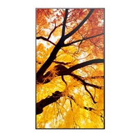 Sharp MultiSync® M862, LCD 86" Message Large Format Display, 16:9, 550 [cd/m2], 8ms, 24/7, 3840 x 2160, USB-C, LAN,