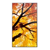SHARP MultiSync® M432, LCD 43" Message Large Format Display, 24/7, 550 [cd/m2], 3840 x 2160, 8ms, 60Hz, 16:9