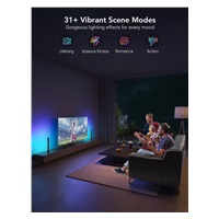 Govee SMART LED RGBIC Panel 38cm pro TV 43-75" - 2ks