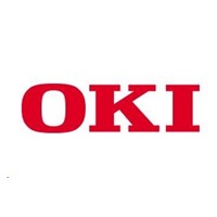 Oki Rozšiřující paměť 256MB pro C610/711/330dn/530dn/MC351dn/361dn/561dn/B840
