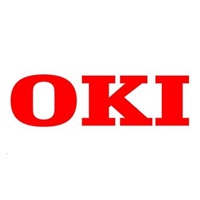 Oki Rozšiřující paměť 512MB pro C610/711/330dn/530dn/MC351dn/361dn/561dn/B840