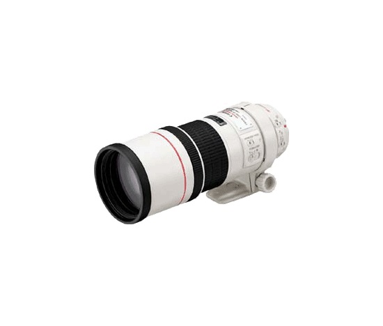 Canon EF 300mm f/4 L IS USM obiektyw