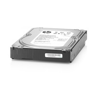 HPE 4TB SATA 6G Business Critical 7.2K LFF RW 1-year Warranty Multi Vendor HDD