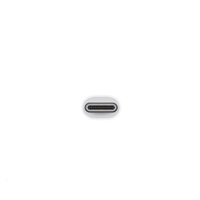 APPLE USB-C VGA Multiport Adapter