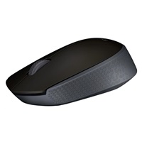 Logitech Wireless Mouse M171, black