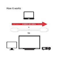 Club3D Adaptér USB 3.1 typ C na DisplayPort 1.2 4K60Hz UHD 1,2m (M/M)